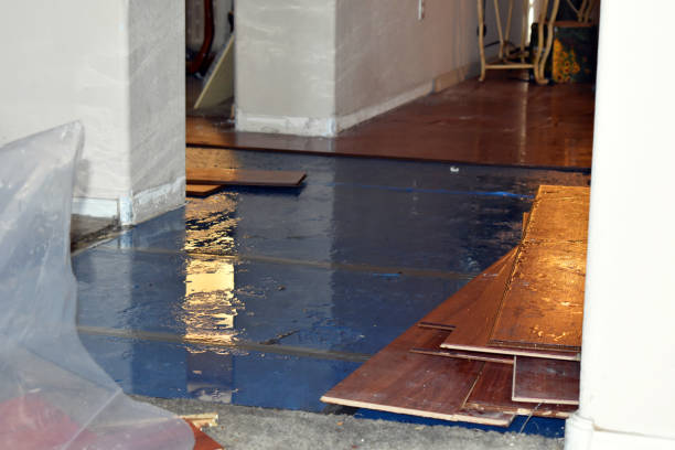 Professional Sewage Cleanup technician working in Otisville, MI